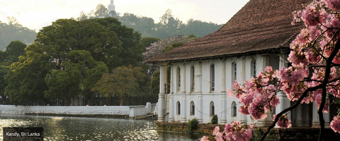 Trésors du Sri Lanka & détente aux Maldives - Circuit privatif de 10 à 17 nuits entre les trésors culturels du Sri Lanka et les bonheurs balnéaires des Maldives. - Sri Lanka & Maldives