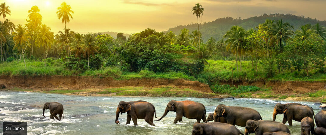 Trésors du Sri Lanka & détente aux Maldives -  - Sri Lanka et Maldives