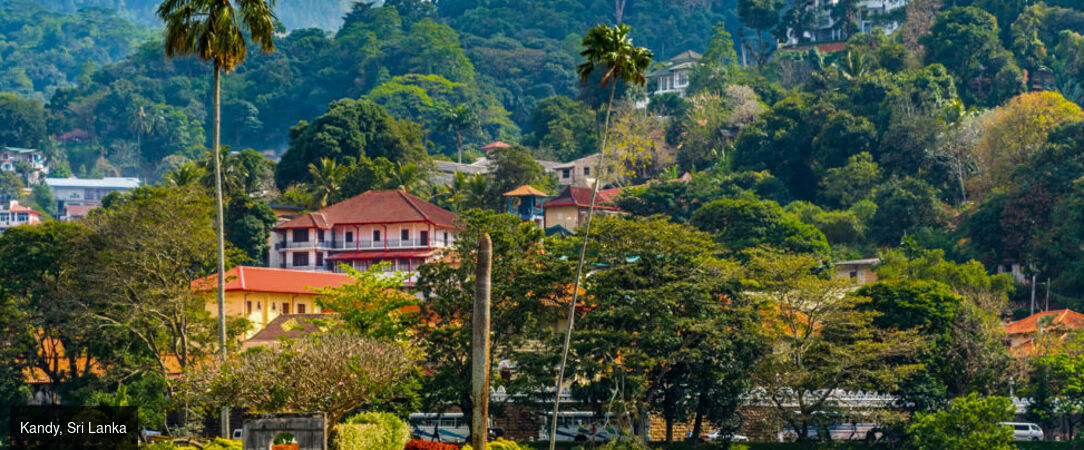 Trésors du Sri Lanka & détente aux Maldives -  - Sri Lanka et Maldives