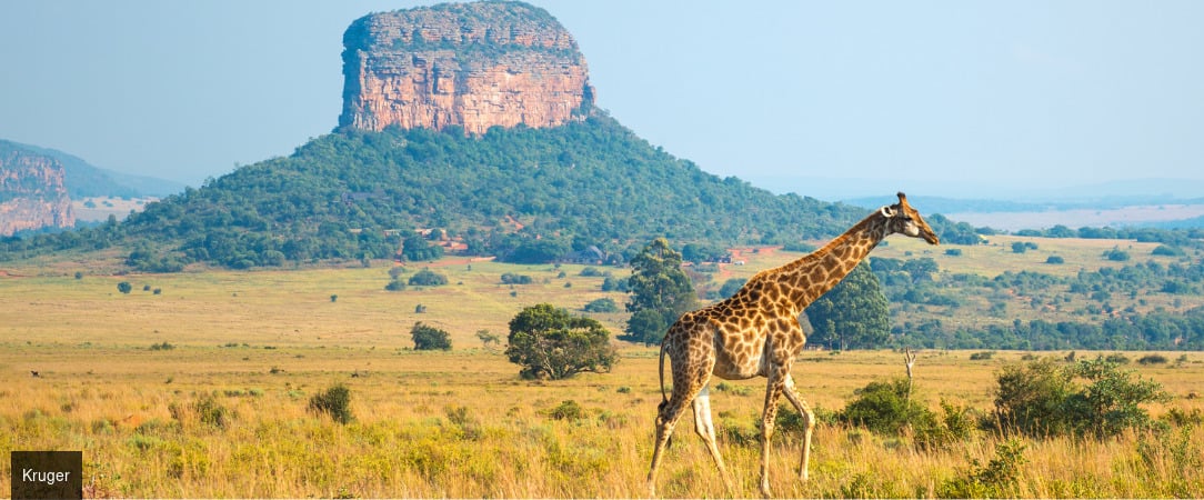 Les couleurs d'Afrique du Sud - Circuit groupé de 10 nuits à travers l’Afrique du Sud et l’Eswatini, entre découverte du Cap, safaris en réserves animalières et immersion culturelle. - Afrique du Sud & Eswatini