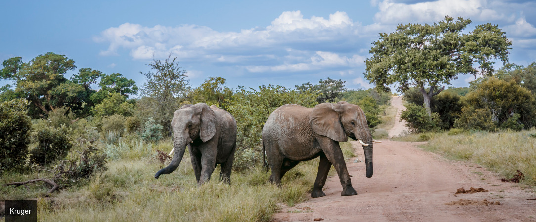 Les couleurs d'Afrique du Sud - Circuit groupé de 10 nuits à travers l’Afrique du Sud et l’Eswatini, entre découverte du Cap, safaris en réserves animalières et immersion culturelle. - Afrique du Sud & Eswatini