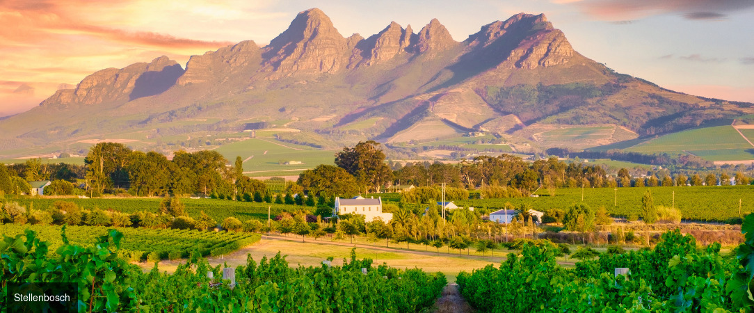 Les couleurs d'Afrique du Sud - Circuit groupé de 10 nuits à travers l’Afrique du Sud et l’Eswatini, entre découverte du Cap, safaris en réserves animalières et immersion culturelle. - Afrique du Sud & Eswatini
