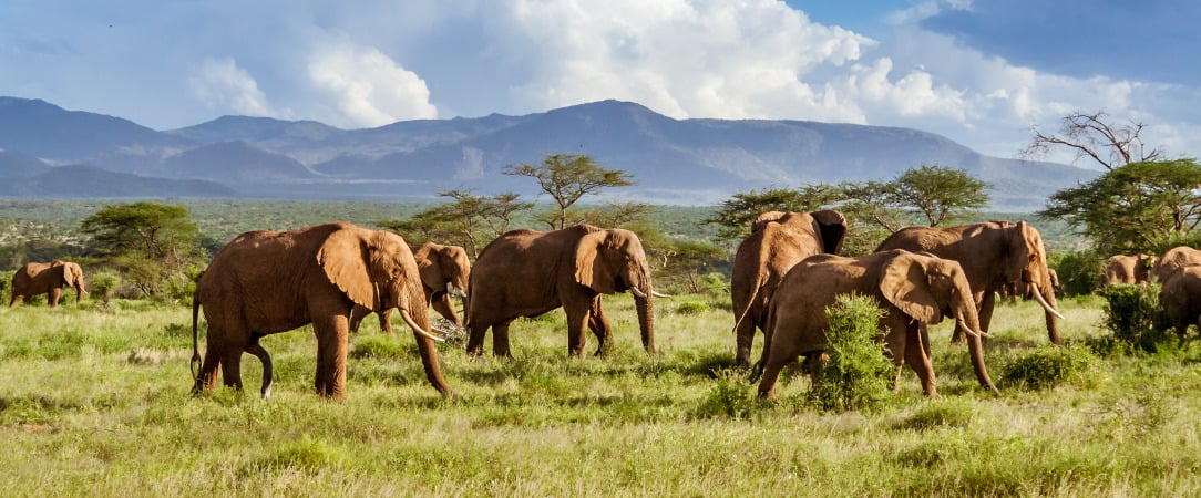 Les couleurs d'Afrique du Sud - Circuit groupé de 10 nuits à travers l’Afrique du Sud et l’Eswatini, entre découverte du Cap, safaris en réserves animalières et immersion culturelle. - Afrique du Sud & Eswatini