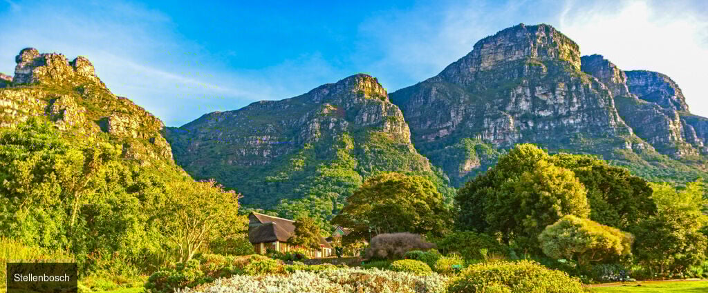 Les couleurs d'Afrique du Sud - Circuit groupé de 10 nuits à travers l’Afrique du Sud et l’Eswatini, entre découverte du Cap, safaris en réserves animalières et immersion culturelle. - Afrique du Sud & Eswatini