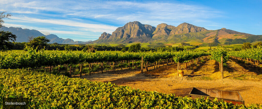 Les couleurs d'Afrique du Sud - Circuit groupé de 10 nuits à travers l’Afrique du Sud et l’Eswatini, entre découverte du Cap, safaris en réserves animalières et immersion culturelle. - Afrique du Sud & Eswatini