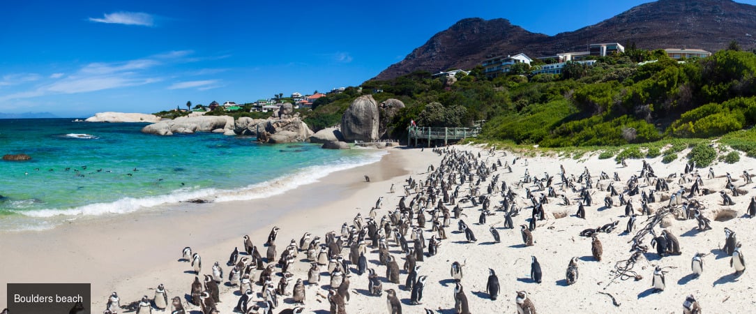 Les couleurs d'Afrique du Sud - Circuit groupé de 10 nuits à travers l’Afrique du Sud et l’Eswatini, entre découverte du Cap, safaris en réserves animalières et immersion culturelle. - Afrique du Sud & Eswatini