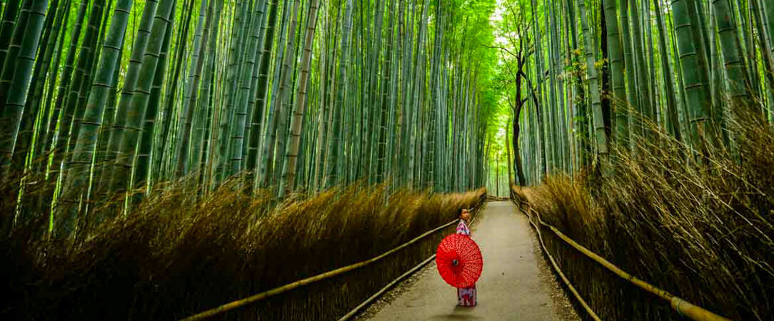 Le Japon sur rails en hôtels 3 et 4 étoiles - Circuit individuel de 11 ou 14 jours en hôtels 3 ou 4*, guides francophones et activités inclus - Japon : Tokyo à Osaka