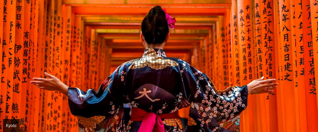Le Japon sur rails en hôtels 3 et 4 étoiles - Circuit individuel de 11 ou 14 jours en hôtels 3 ou 4*, guides francophones et activités inclus - Japon : Tokyo à Osaka
