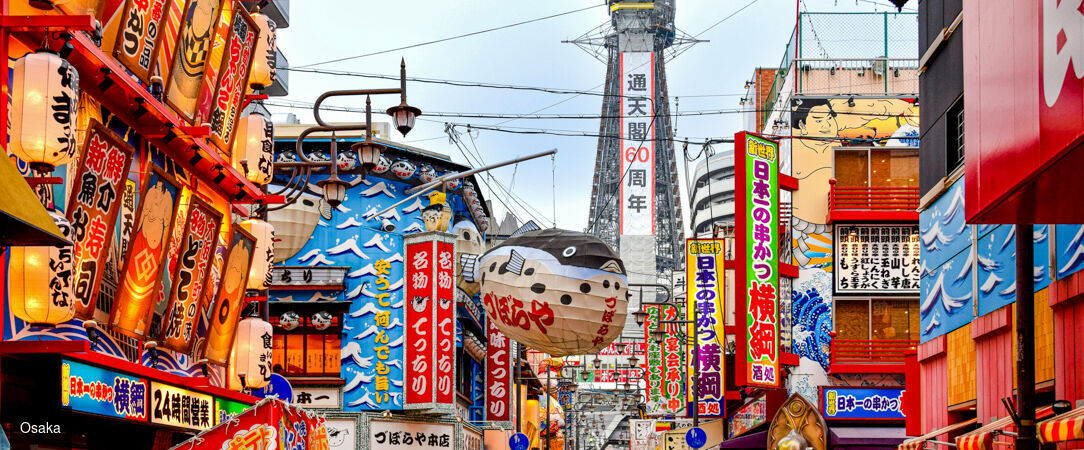 Le Japon sur rails en hôtels 3 et 4 étoiles - Circuit individuel de 11 ou 14 jours en hôtels 3 ou 4*, guides francophones et activités inclus - Japon : Tokyo à Osaka
