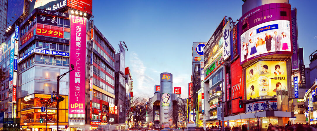 Le Japon sur rails en hôtels 3 et 4 étoiles - Circuit individuel de 11 ou 14 jours en hôtels 3 ou 4*, guides francophones et activités inclus - Japon : Tokyo à Osaka