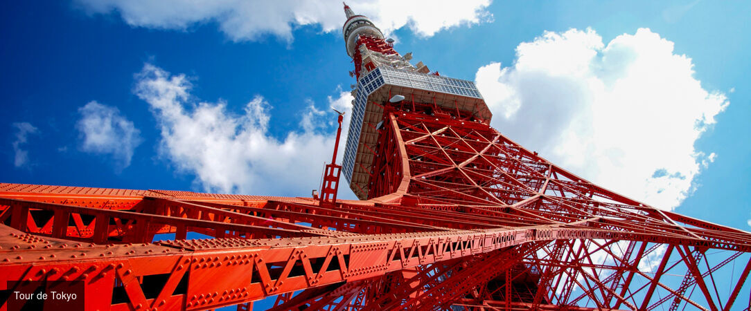Le Japon sur rails en hôtels 3 et 4 étoiles - Circuit individuel de 11 ou 14 jours en hôtels 3 ou 4*, guides francophones et activités inclus - Japon : Tokyo à Osaka