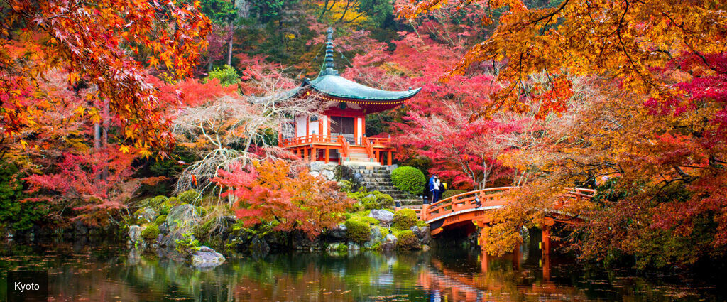 Le Japon sur rails en hôtels 3 et 4 étoiles - Circuit individuel de 11 ou 14 jours en hôtels 3 ou 4*, guides francophones et activités inclus - Japon : Tokyo à Osaka
