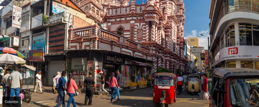 Trésors culturels & plages du Sri Lanka -  - Sri Lanka : Habarana, Kandy, Balapitiya & Colombo