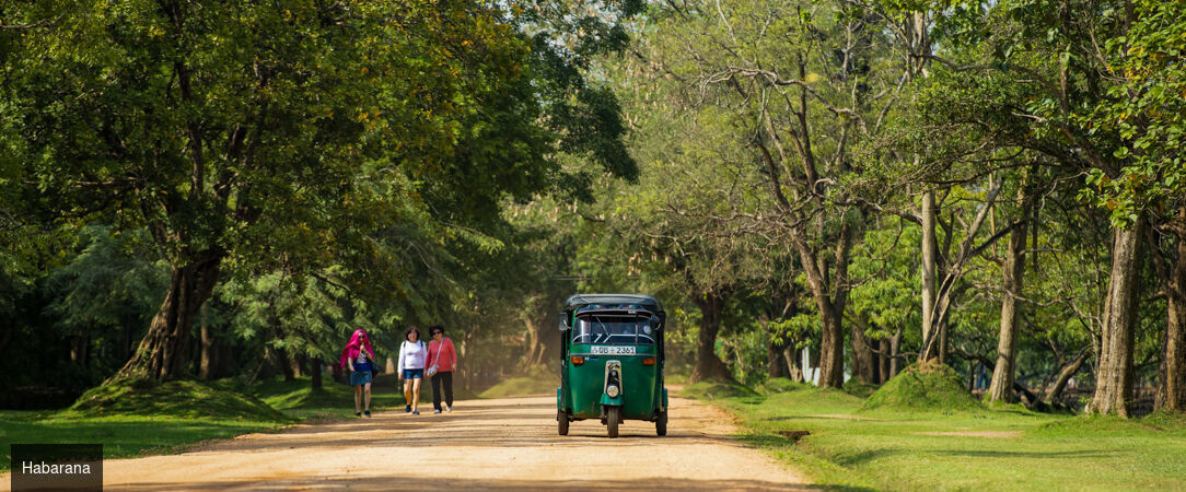 Trésors culturels & plages du Sri Lanka -  - Sri Lanka : Habarana, Kandy, Balapitiya & Colombo