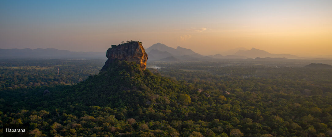 Trésors culturels & plages du Sri Lanka -  - Sri Lanka : Habarana, Kandy, Balapitiya & Colombo