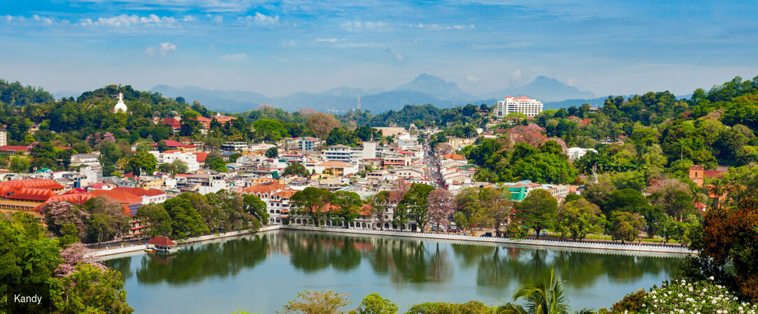 Trésors culturels & plages du Sri Lanka -  - Sri Lanka : Habarana, Kandy, Balapitiya & Colombo