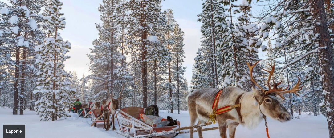 Légendes boréales en Laponie -  - Finlande : Rovaniemi, Laponie