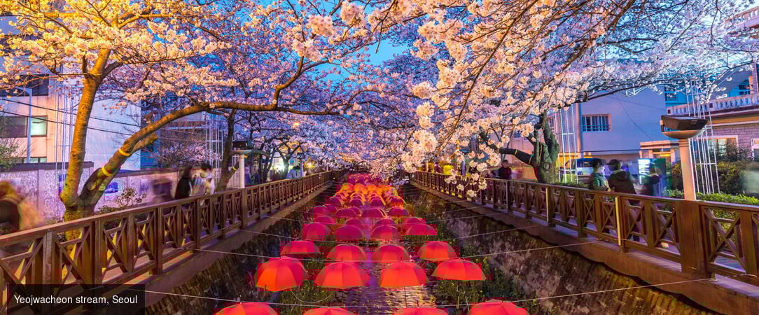 Rêve coréen, entre héritage et mer -  - Corée du Sud : de Séoul à Jeonju