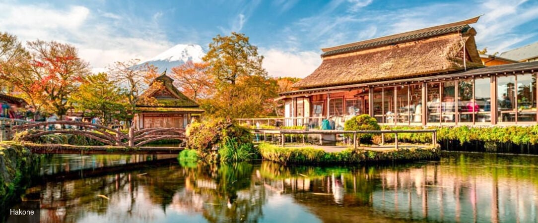 Japon : temples, nature & culture -  - Japon : Tokyo, Osaka