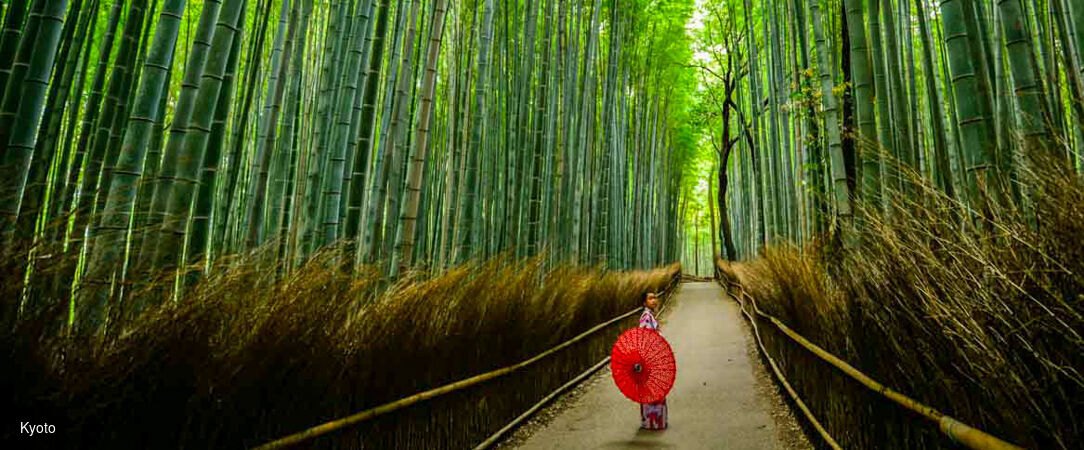 Japon : temples, nature & culture -  - Japon : Tokyo, Osaka