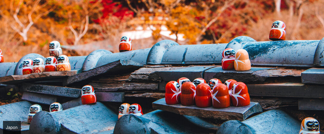 Japon : temples, nature & culture -  - Japon : Tokyo, Osaka
