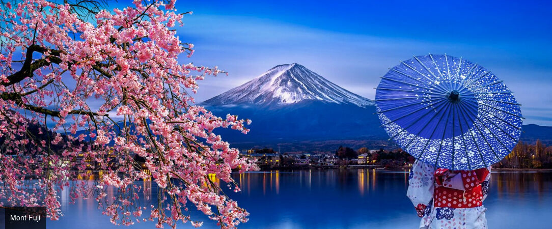 Japon : temples, nature & culture -  - Japon : Tokyo, Osaka