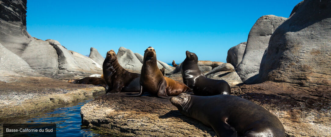 Basse-Californie Sud -  - Basse-Californie Sud, Mexique