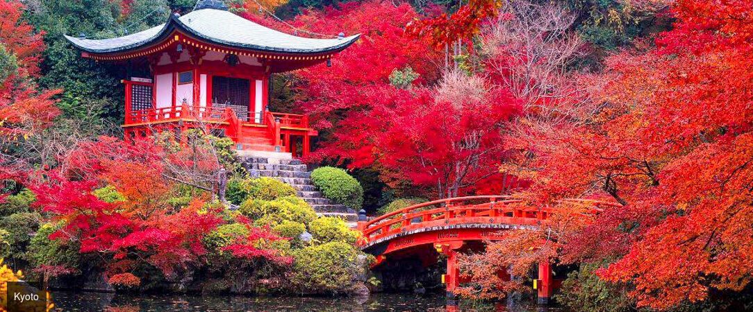 Les immanquables du Japon et de la Corée -  - Japon & Corée du Sud : de Tokyo à Séoul