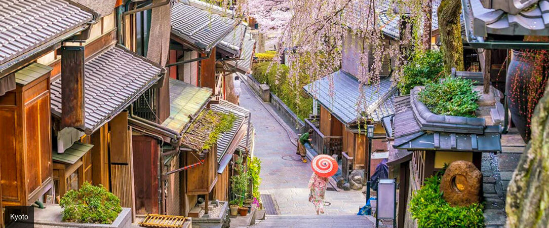 Les immanquables du Japon et de la Corée -  - Japon & Corée du Sud : de Tokyo à Séoul