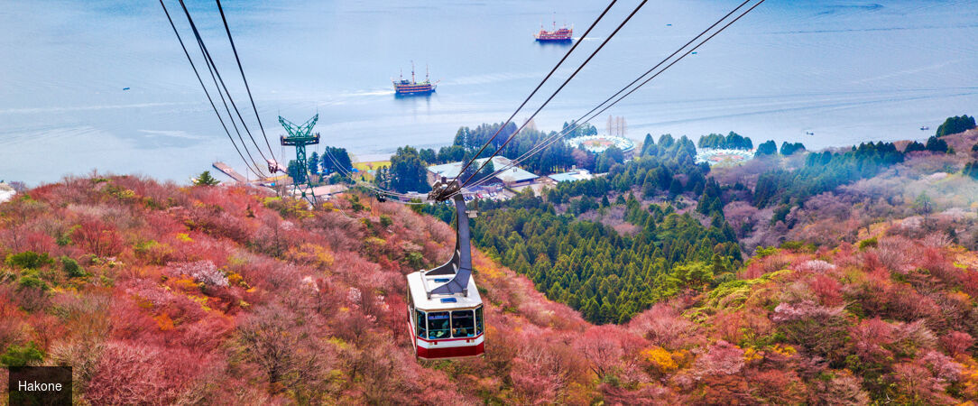 Les immanquables du Japon et de la Corée -  - Japon & Corée du Sud : de Tokyo à Séoul