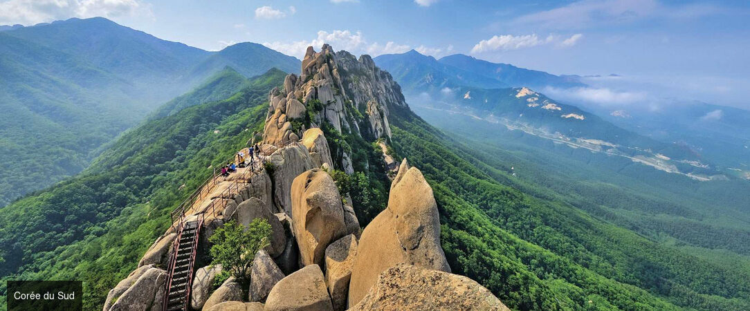 Les immanquables du Japon et de la Corée -  - Japon & Corée du Sud : de Tokyo à Séoul