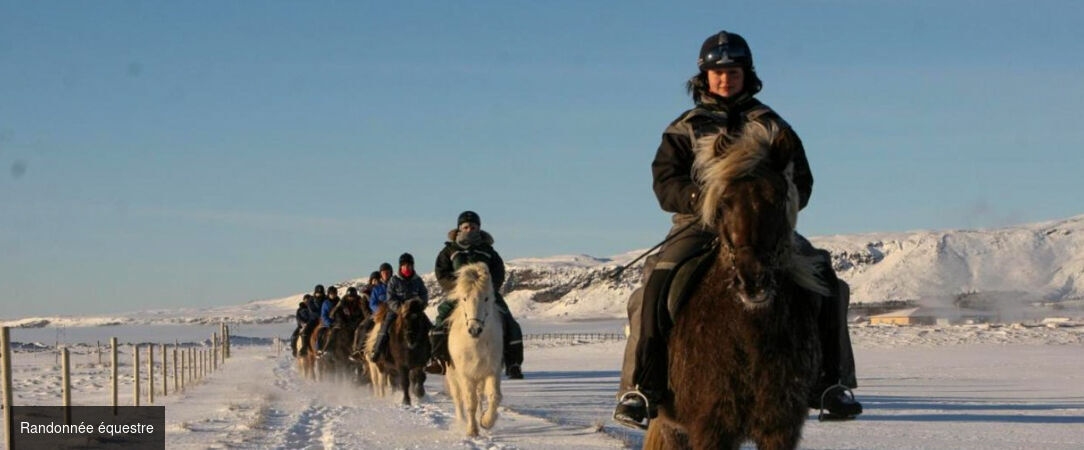 Magie boréale en terres islandaises - Circuit accompagné de 8 jours à la découverte des cascades, glaciers et geysers de l’Islande, avec nuits dédiées à l’observation des aurores boréales. - Islande : Côte Sud & Reykjavik