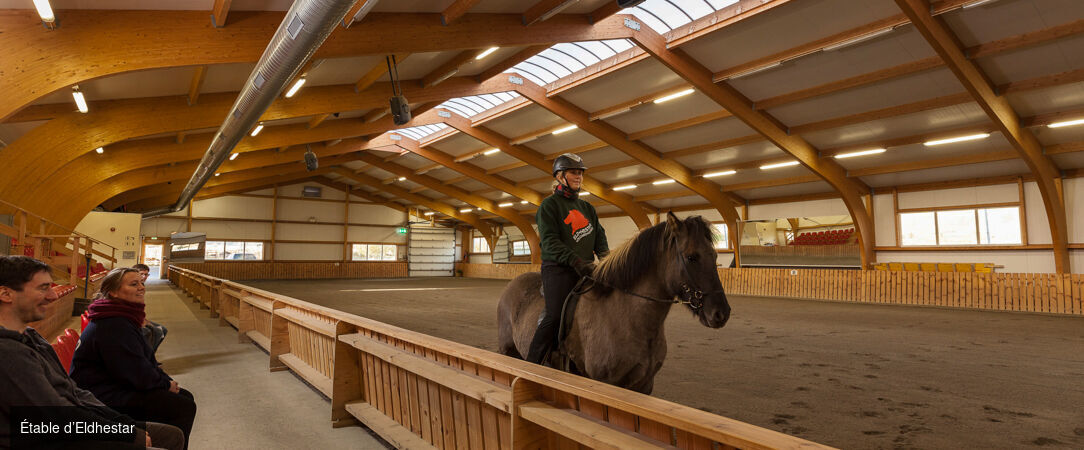 Magie boréale en terres islandaises - Circuit accompagné de 8 jours à la découverte des cascades, glaciers et geysers de l’Islande, avec nuits dédiées à l’observation des aurores boréales. - Islande : Côte Sud & Reykjavik