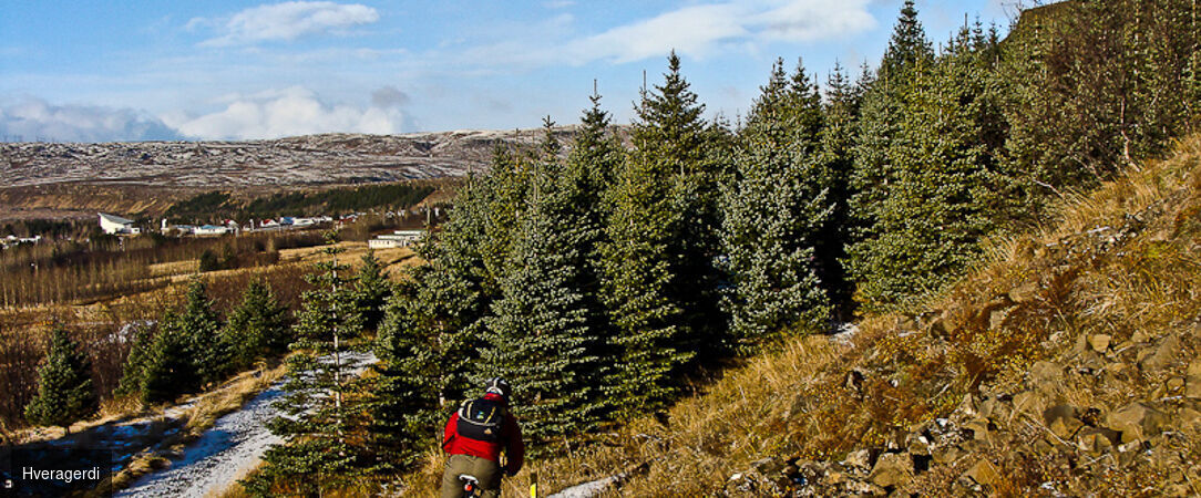Magie boréale en terres islandaises - Circuit accompagné de 8 jours à la découverte des cascades, glaciers et geysers de l’Islande, avec nuits dédiées à l’observation des aurores boréales. - Islande : Côte Sud & Reykjavik