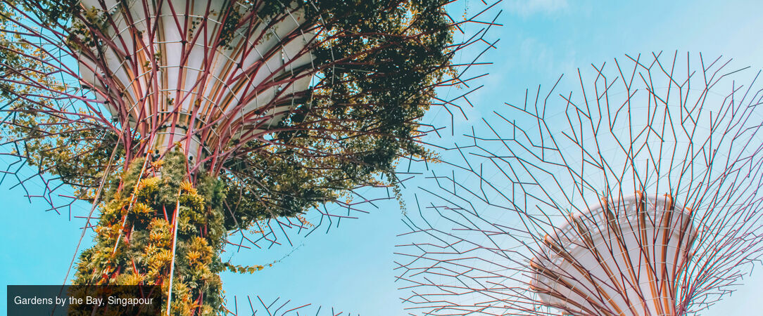 Modernité de Singapour et horizons d'Australie -  - Singapour & Australie : Singapour, Sydney & Cairns