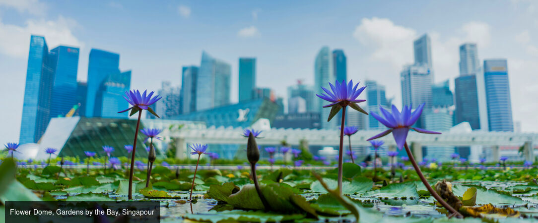 Modernité de Singapour et horizons d'Australie -  - Singapour & Australie : Singapour, Sydney & Cairns