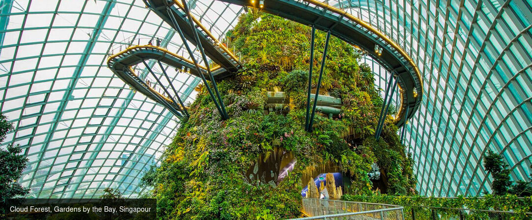 Modernité de Singapour et horizons d'Australie -  - Singapour & Australie : Singapour, Sydney & Cairns