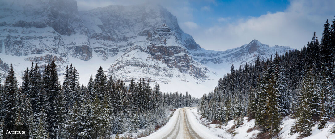 Un hiver dans les Rocheuses - Combiné de 8 jours au cœur des Rocheuses canadiennes, entre Banff et Jasper, pour une immersion hivernale entre nature grandiose, faune sauvage et villages de montagne. - Canada : Calgary, Banff & Jasper