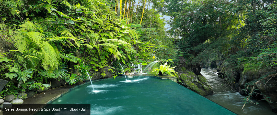 Escapade Balinaise entre océan et rizières - Combiné de 7 à 18 nuits, voyage raffiné entre belles plages du sud, authentique élégance d'Ubud et la beauté de l'île Nusa Lembongan. - Indonésie : Ubud, Nusa Lembongan & Canggu