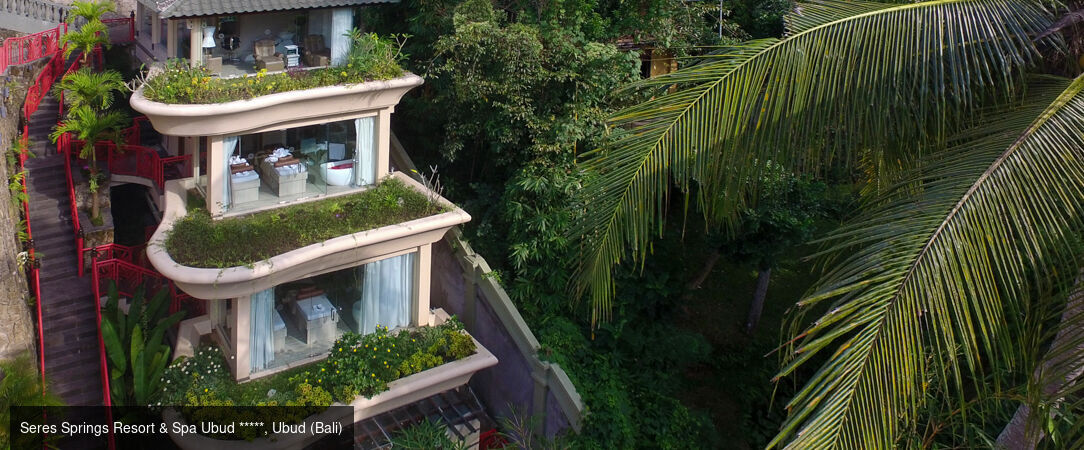 Escapade Balinaise entre océan et rizières - Combiné de 7 à 18 nuits, voyage raffiné entre belles plages du sud, authentique élégance d'Ubud et la beauté de l'île Nusa Lembongan. - Indonésie : Ubud, Nusa Lembongan & Canggu