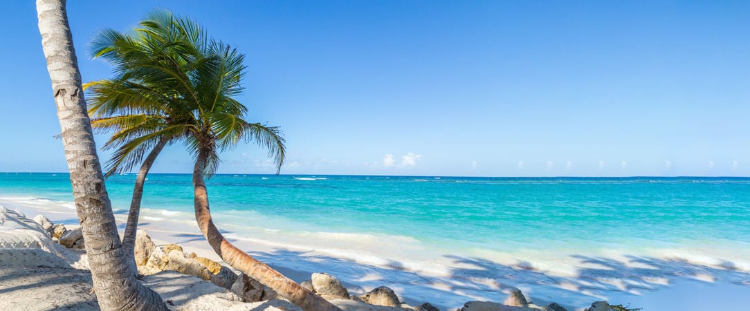 Barcelo Bavaro Palace ★★★★★ All Inclusive - Séjour enchanteur avec golf & All Inclusive à Punta Cana. - Punta Cana, République Dominicaine