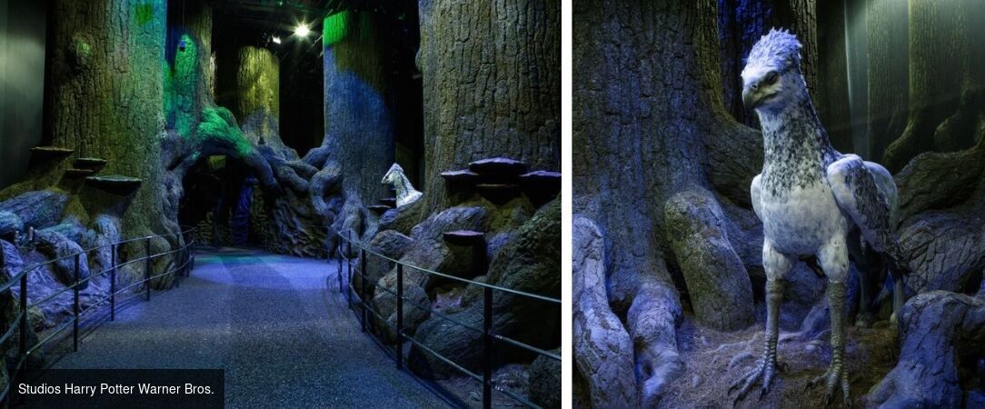 Londres et l'univers magique de Harry Potter - Un séjour familial magique à Londres, entre confort et immersion dans l’univers d’Harry Potter. - Londres, Royaume-Uni