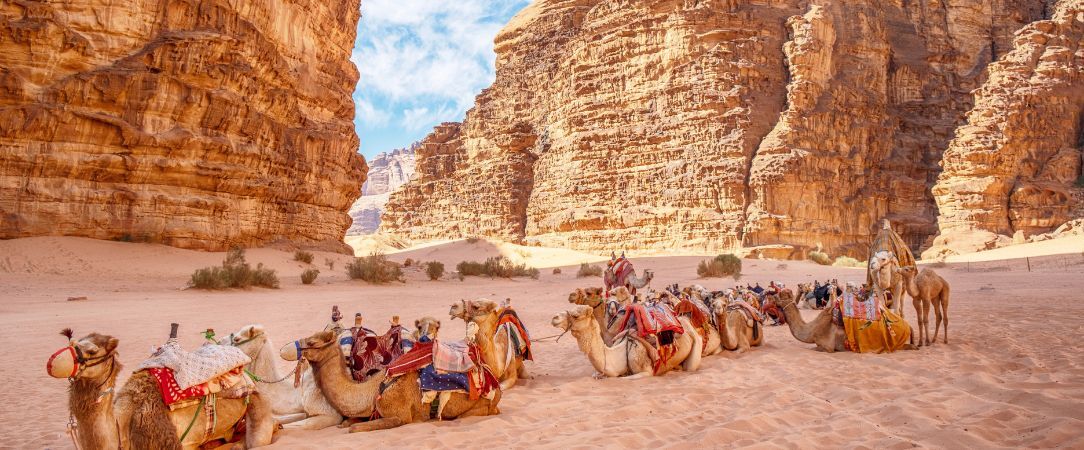 À la découverte de la Jordanie en 4* et 5* - Circuit privatif de 7 ou 8 nuits à la découverte des icônes jordaniennes, des hauts lieux bibliques à Pétra, jusqu’aux étendues grandioses du Wadi Rum. - Jordanie : Amman, Pétra, Wadi Rum & Mer Morte