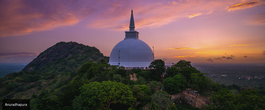 Nord du Sri Lanka : entre héritages et lagons -  - Sri Lanka