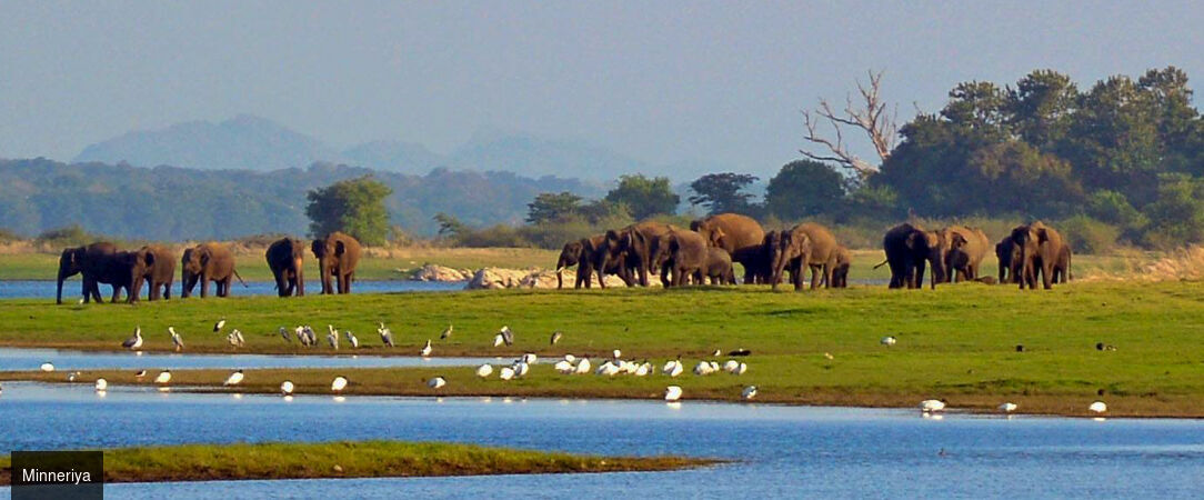 Nord du Sri Lanka : entre héritages et lagons -  - Sri Lanka