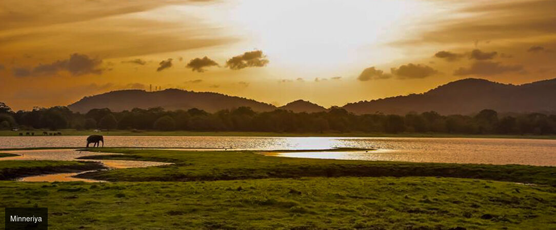 Nord du Sri Lanka : entre héritages et lagons -  - Sri Lanka