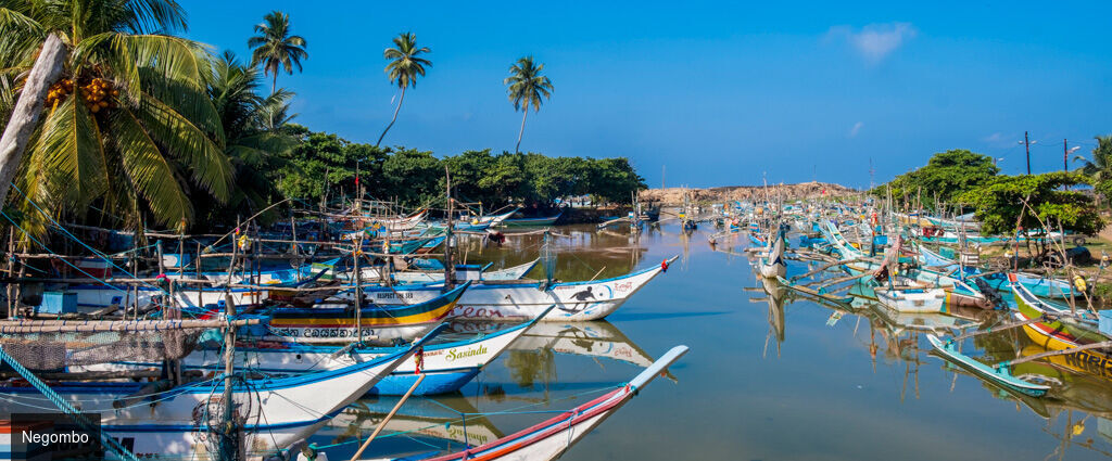 Nord du Sri Lanka : entre héritages et lagons -  - Sri Lanka