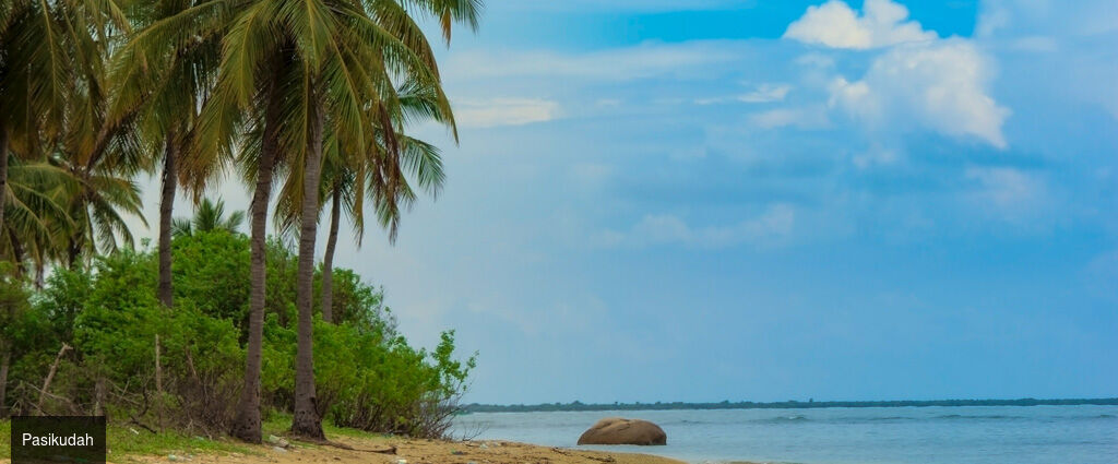 Nord du Sri Lanka : entre héritages et lagons -  - Sri Lanka