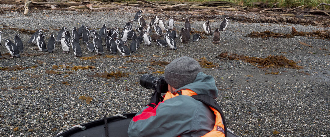 Croisière en Patagonie, entre Terre de feu, Santiago et Buenos Aires - Croisière de rêve en 10 nuits entre la Terre de feu, Santiago et Buenos Aires avec Rivages du Monde. - Chili & Argentine