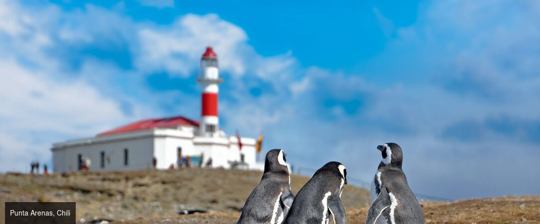 Croisière en Patagonie, entre Terre de feu, Santiago et Buenos Aires - Croisière de rêve en 10 nuits entre la Terre de feu, Santiago et Buenos Aires avec Rivages du Monde. - Chili & Argentine